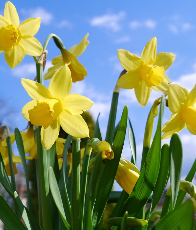 Osterbrunch 2026.jpg